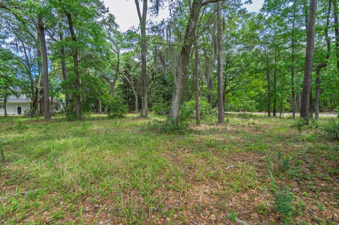 8468 Chisolm Plantation Road Photo 21