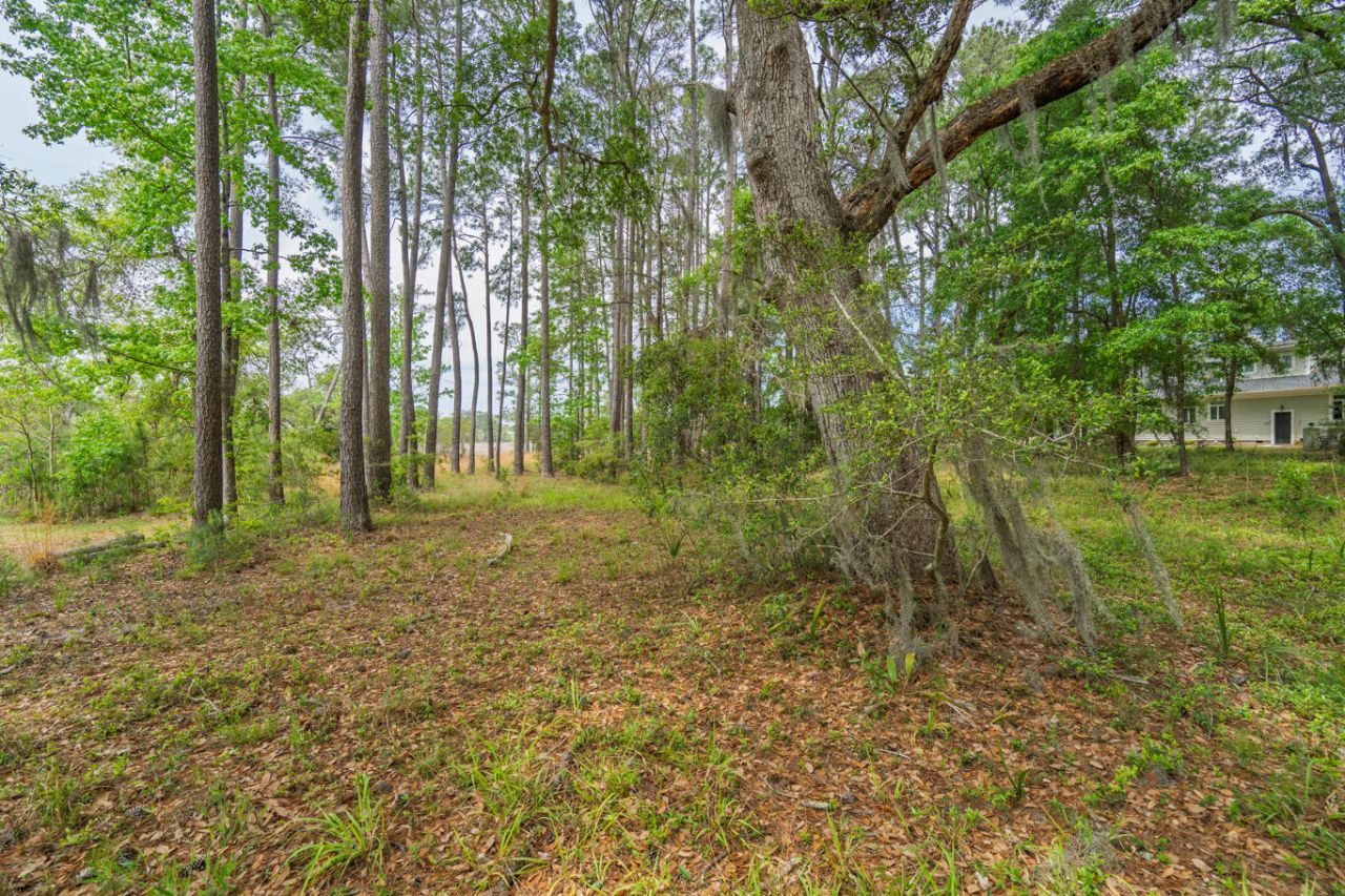 8468 Chisolm Plantation Road Photo 22