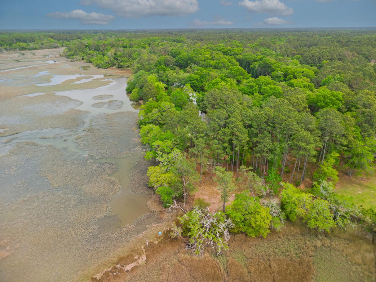 8468 Chisolm Plantation Road Photo 23