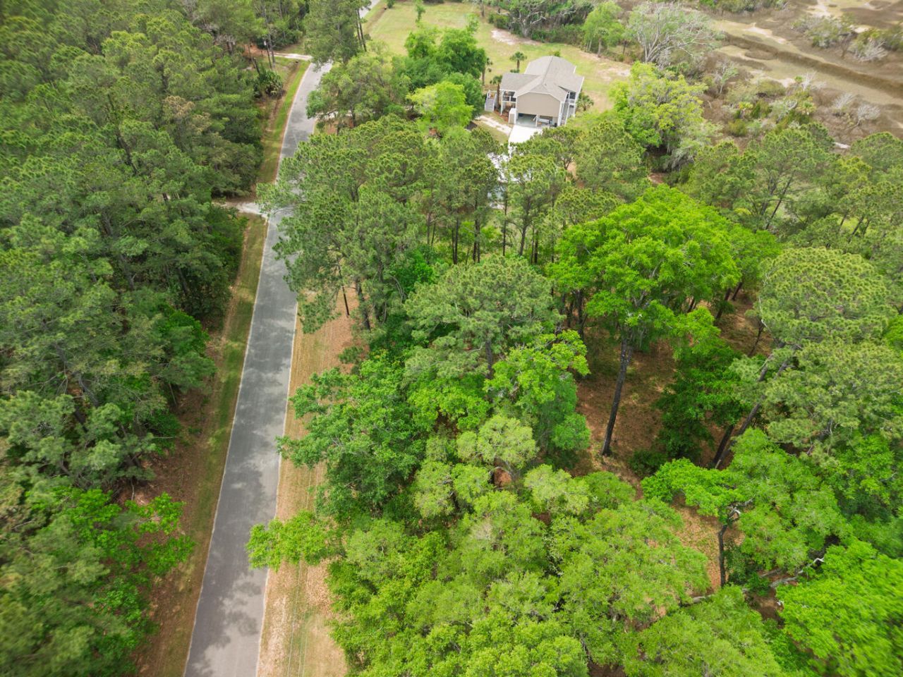8468 Chisolm Plantation Road Photo 24