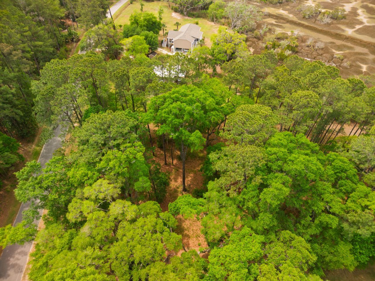 8468 Chisolm Plantation Road Photo 25