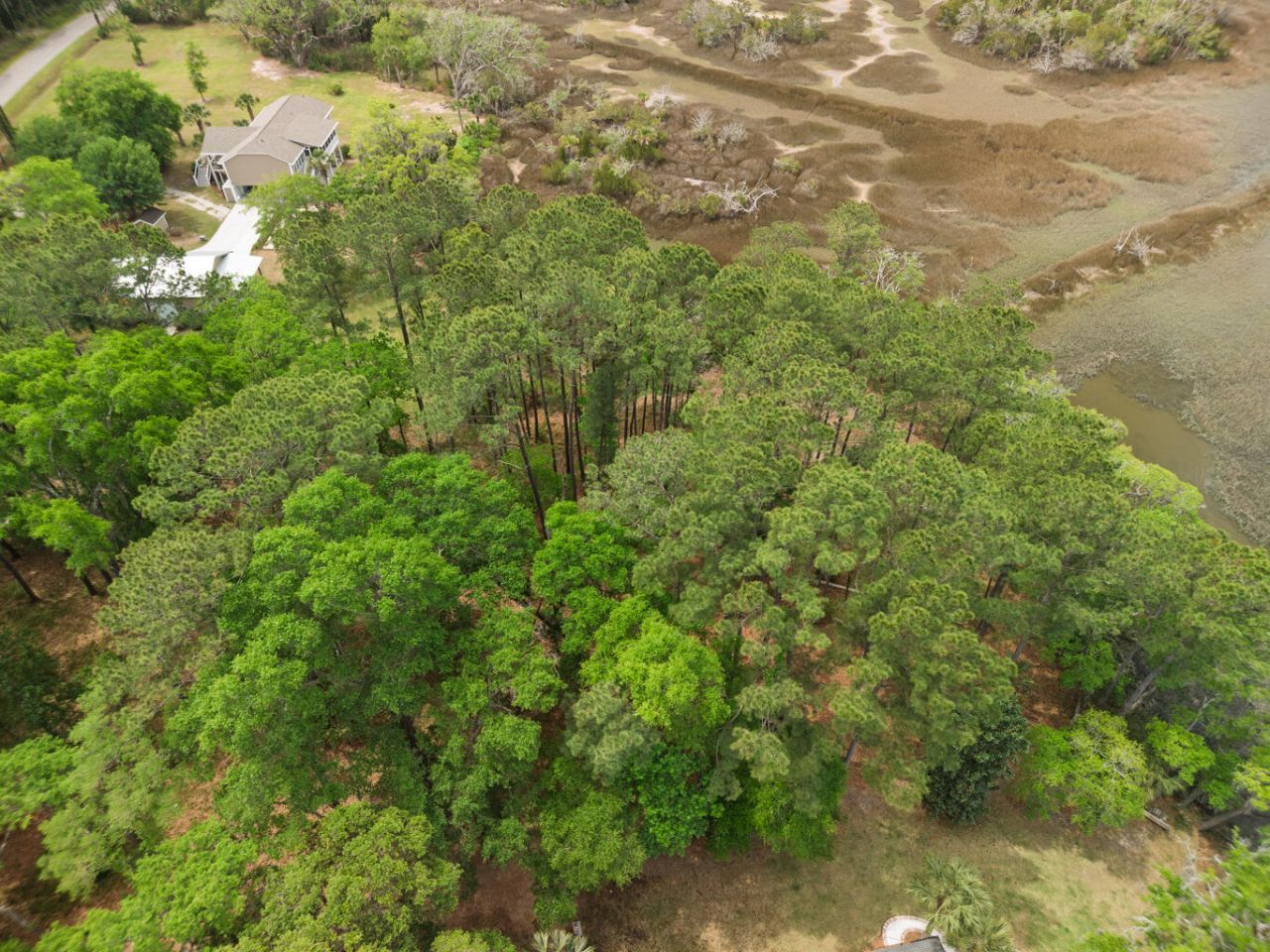 8468 Chisolm Plantation Road Photo 26
