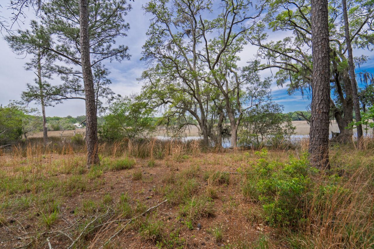 8468 Chisolm Plantation Road Photo 29