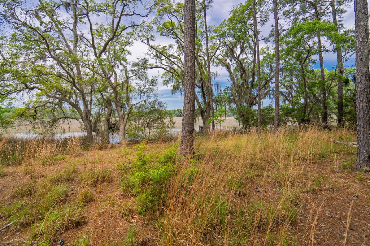 8468 Chisolm Plantation Road Photo 30
