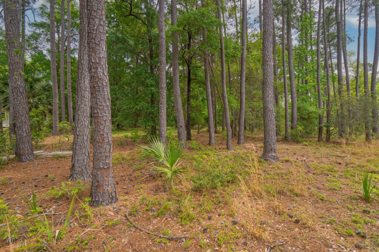 8468 Chisolm Plantation Road Photo 31