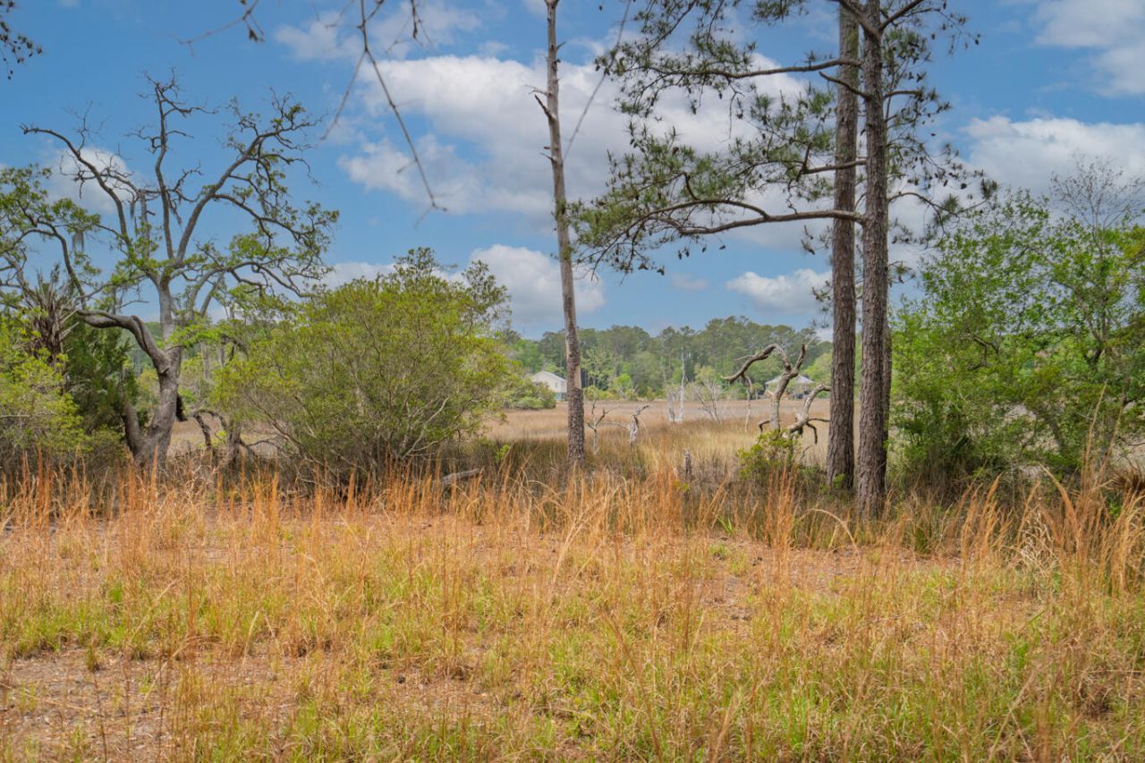 8468 Chisolm Plantation Road Photo 32