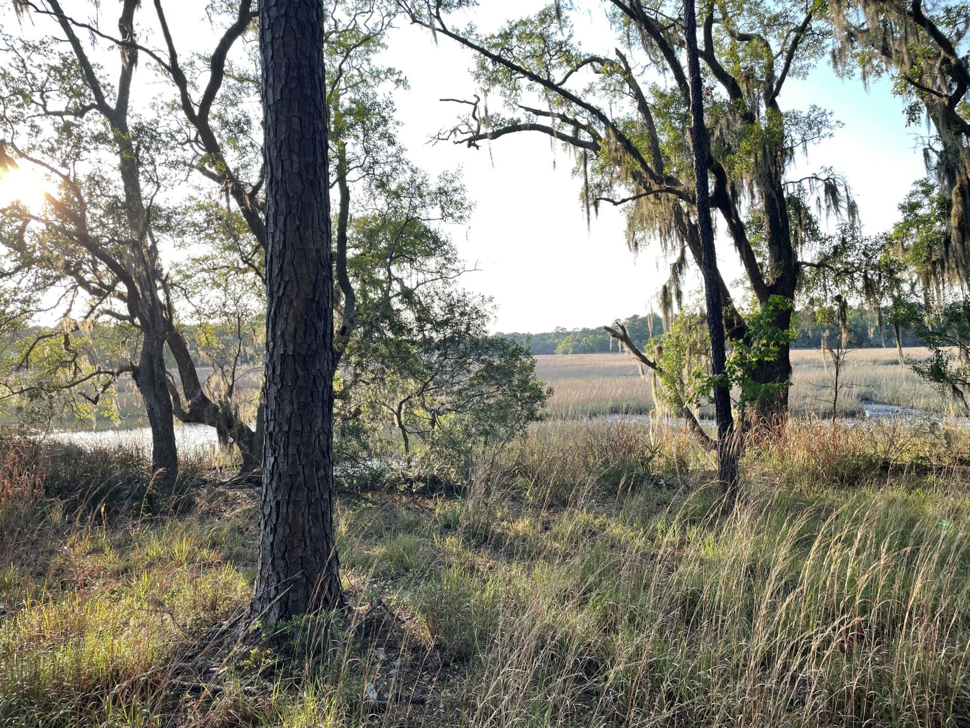 8468 Chisolm Plantation Road Photo 33