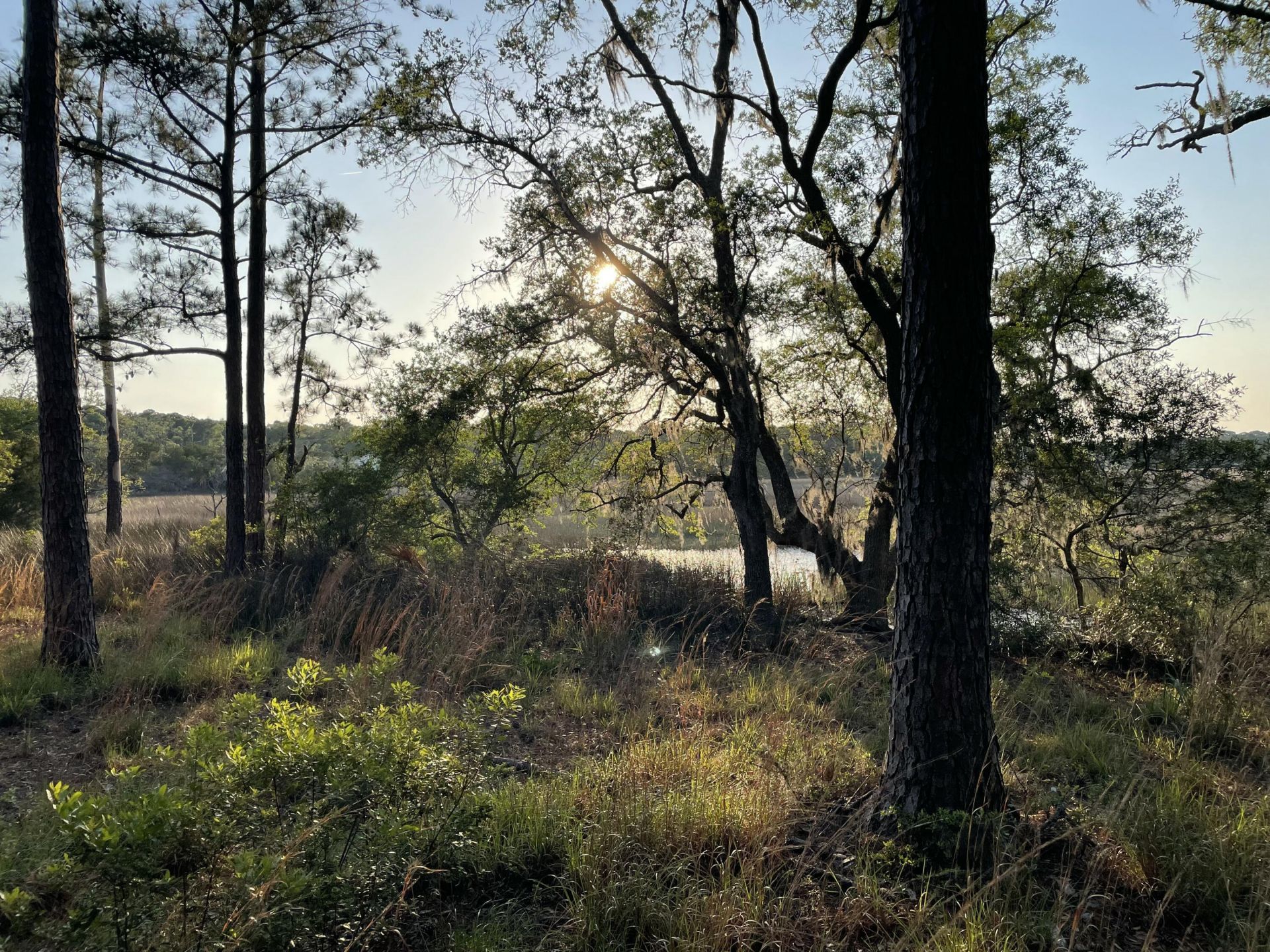 8468 Chisolm Plantation Road Photo 34