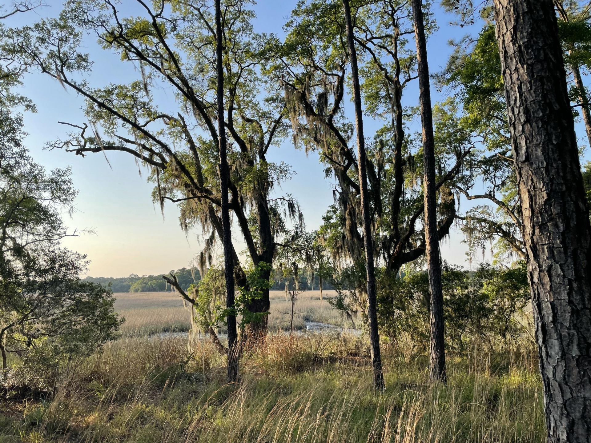8468 Chisolm Plantation Road Photo 35