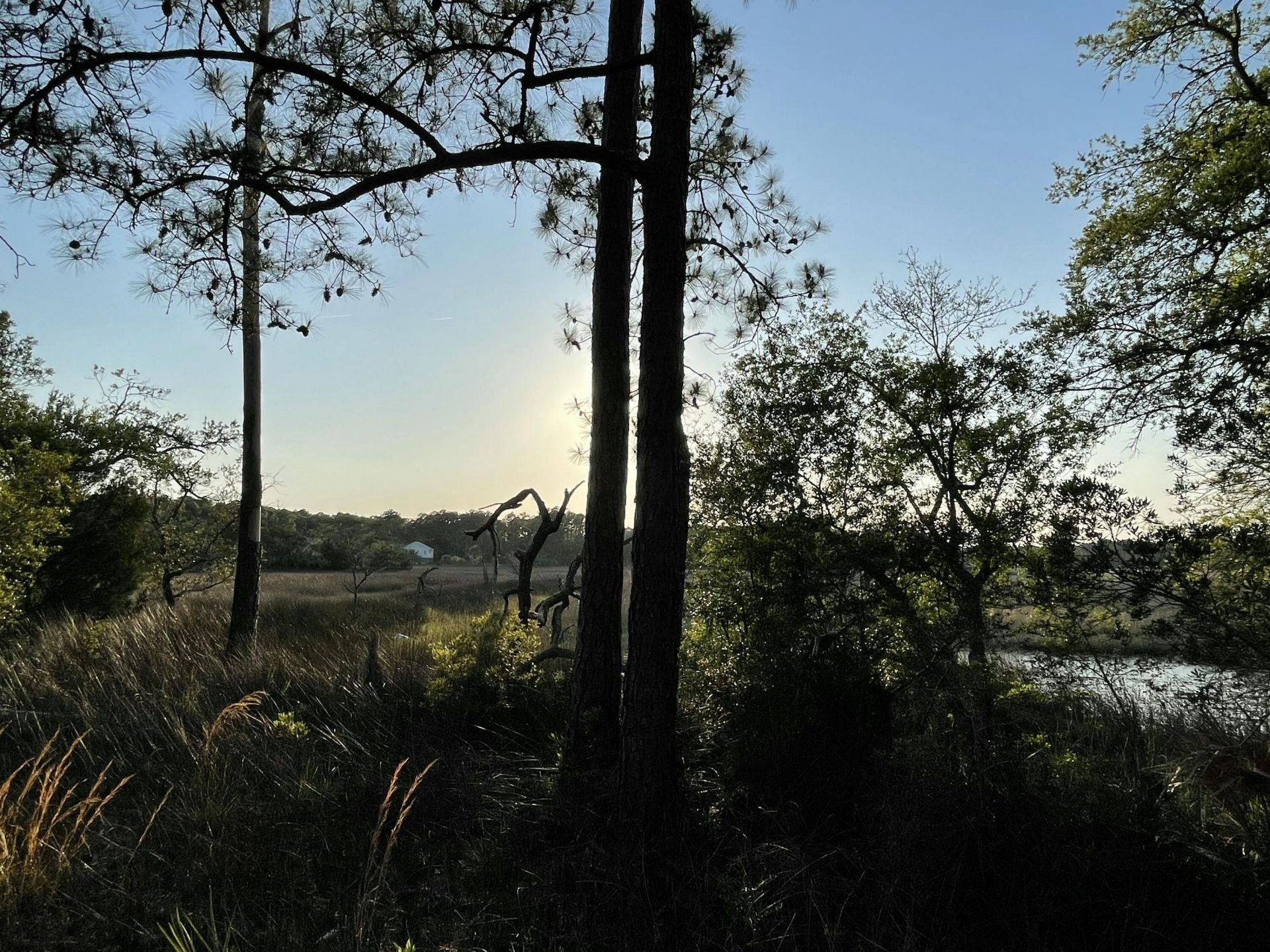 8468 Chisolm Plantation Road Photo 39