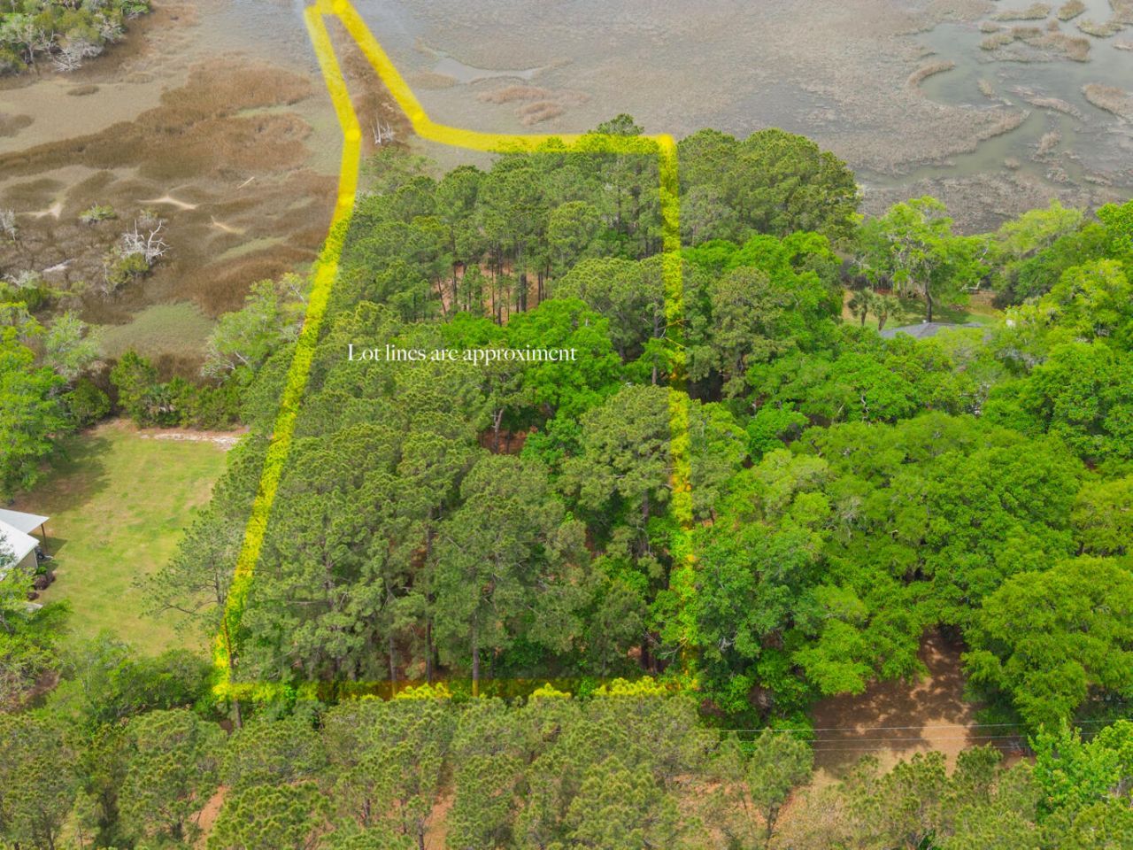 8468 Chisolm Plantation Road Photo 4