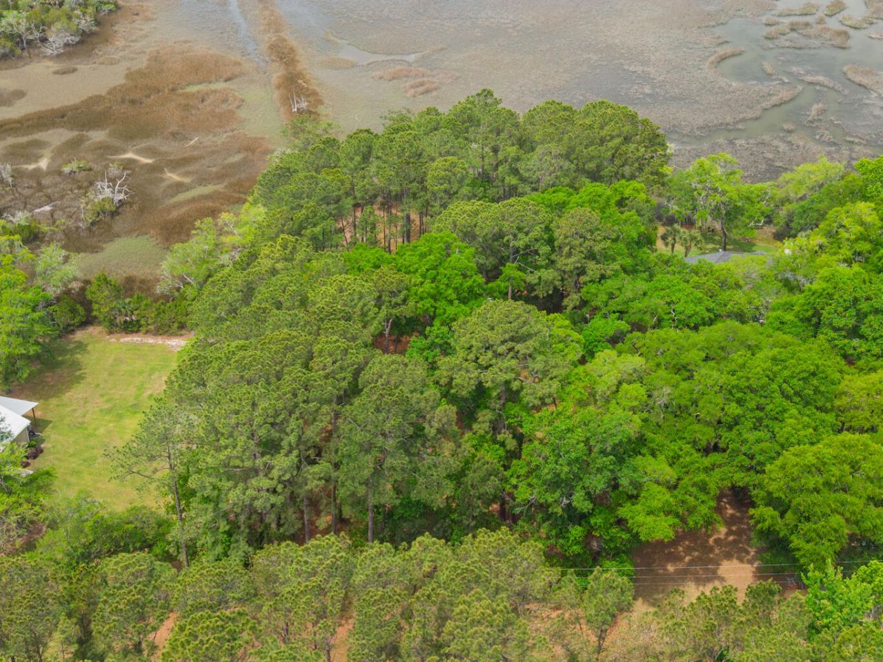 8468 Chisolm Plantation Road Photo 5