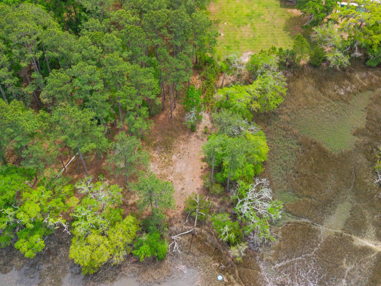 8468 Chisolm Plantation Road Photo 9