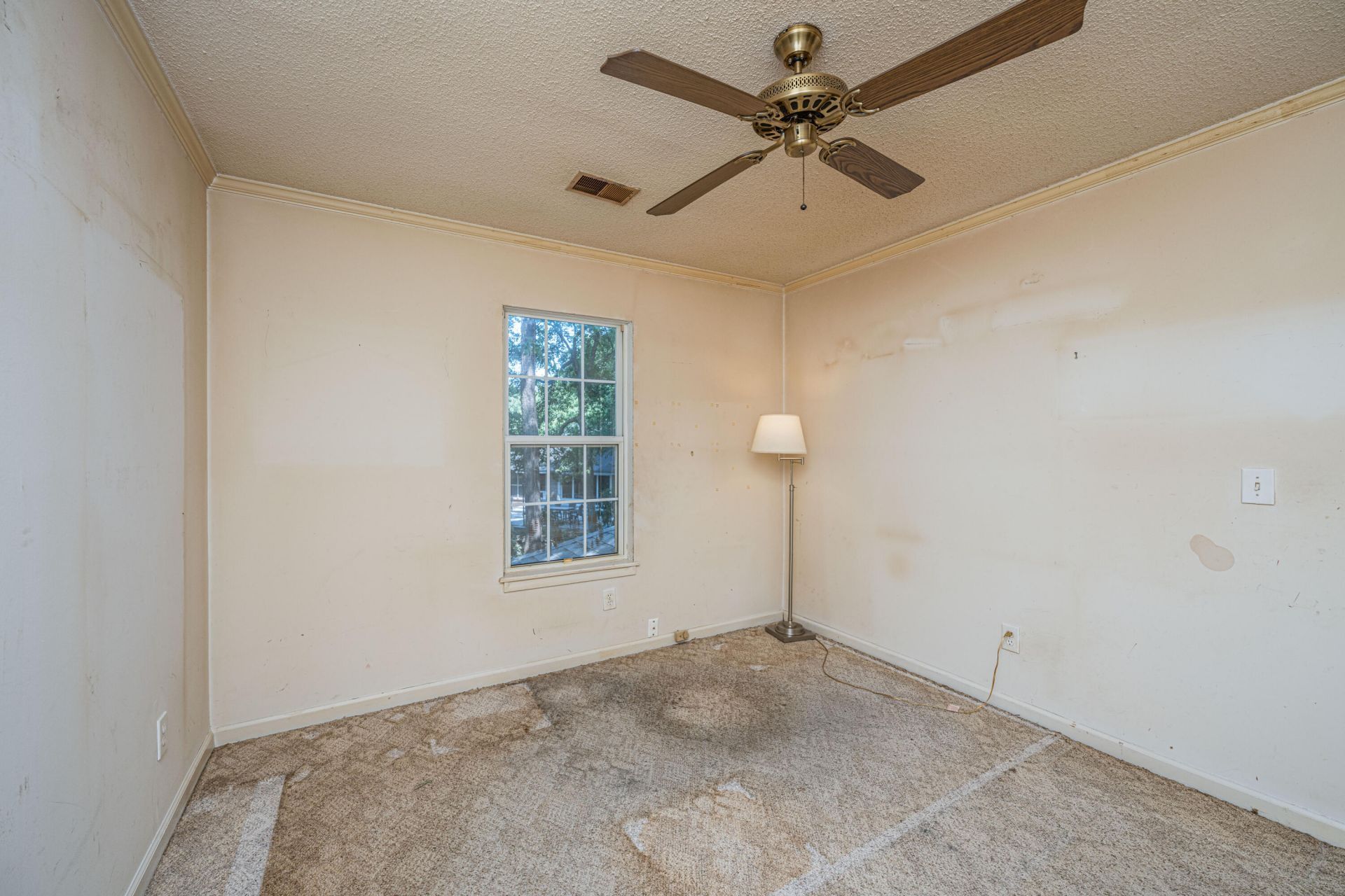 2 Latham Circle Photo 12