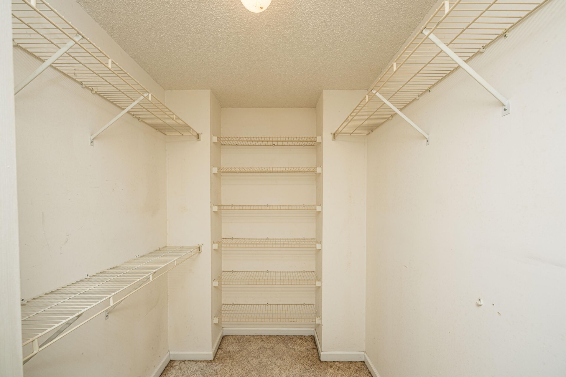 2 Latham Circle Photo 7