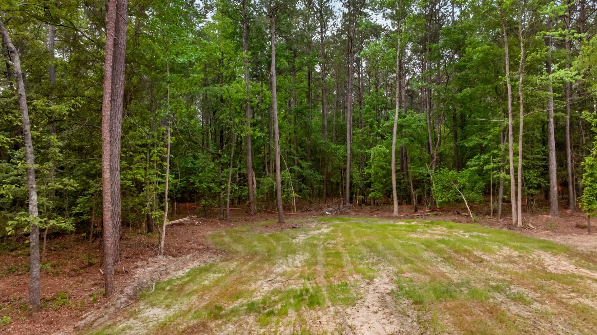 111 Ash Hill Drive Photo 36