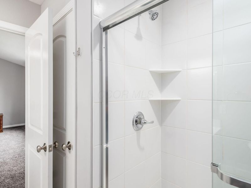 156 Silver Pine Lane , Lewis Center, OH 43035 Photo 39