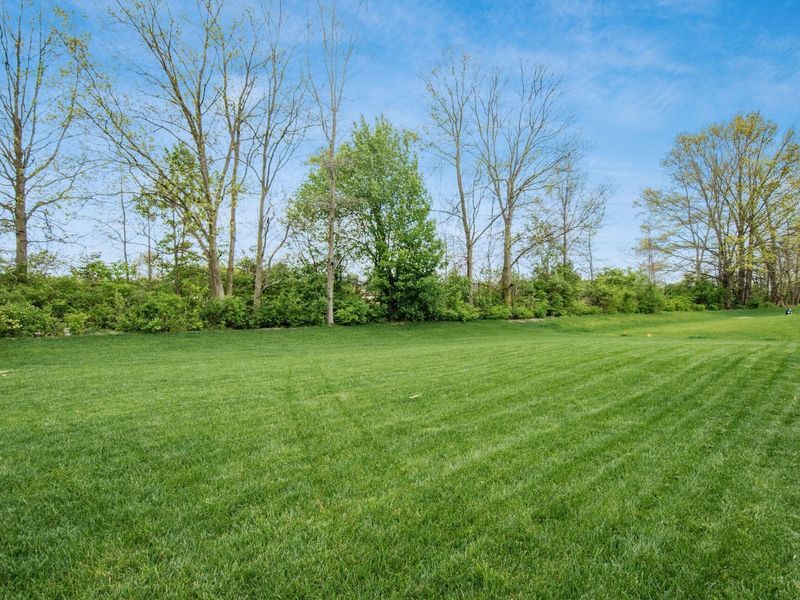 156 Silver Pine Lane , Lewis Center, OH 43035 Photo 57