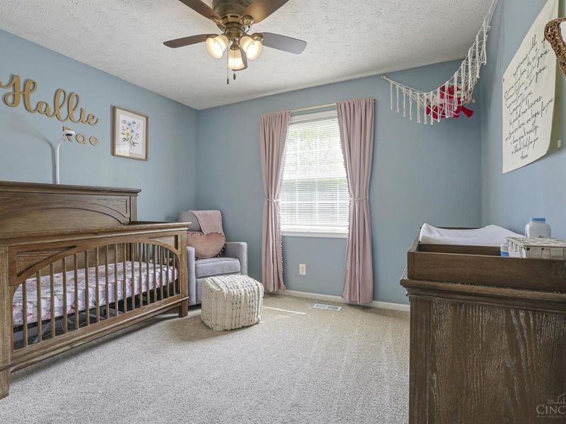 6238 Chablis Drive, Liberty Township, OH 45011 Photo 24