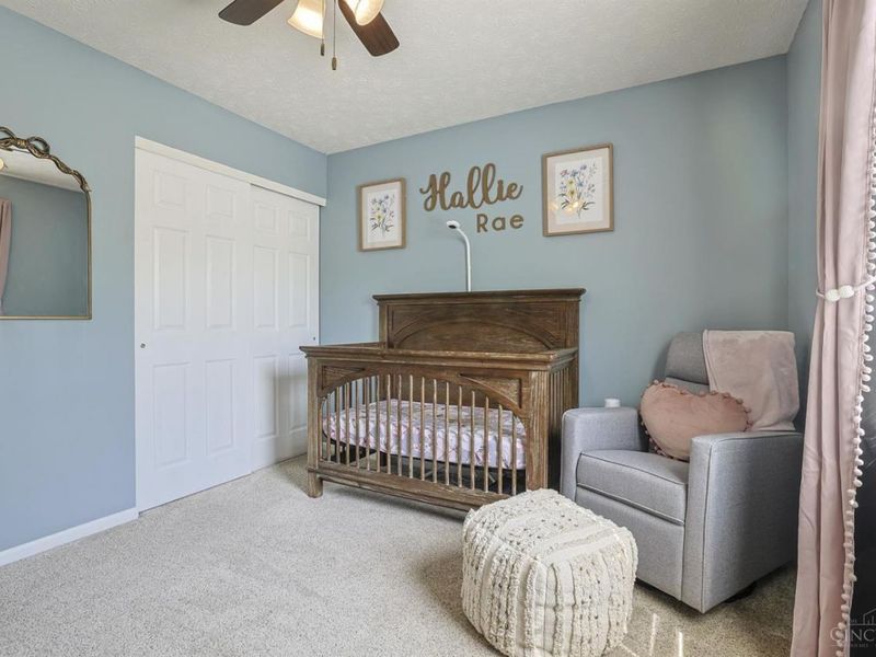 6238 Chablis Drive, Liberty Township, OH 45011 Photo 25