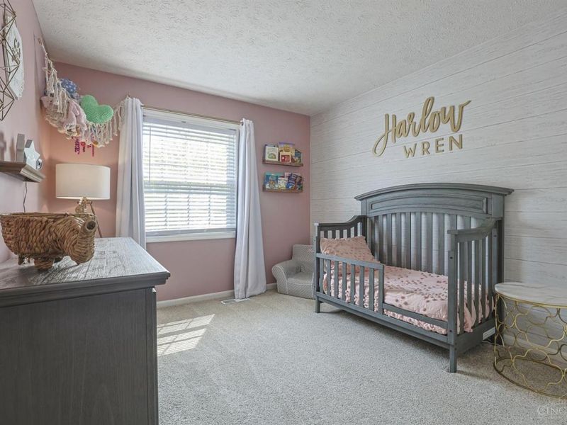 6238 Chablis Drive, Liberty Township, OH 45011 Photo 26