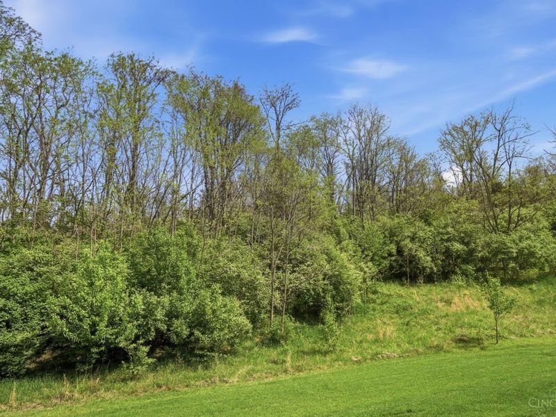 7506 Harbor Way, Crosby Twp, OH 45030 Photo 33