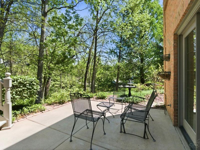 11 Camargo Canyon Drive, Madeira, OH 45243 Photo 59