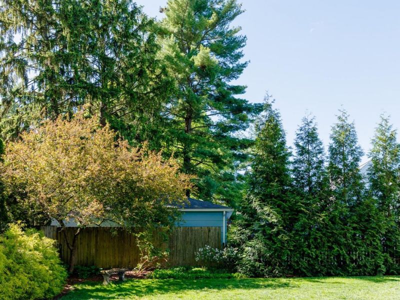 3604 Center Street, Mariemont, OH 45227 Photo 41