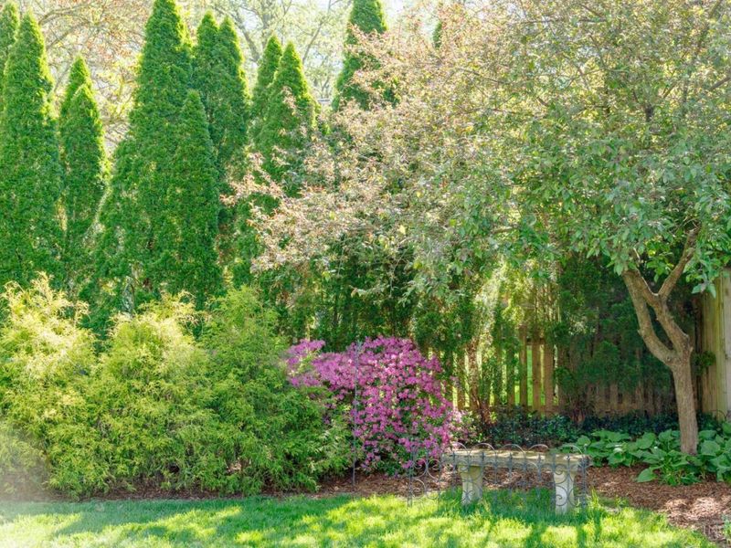 3604 Center Street, Mariemont, OH 45227 Photo 42