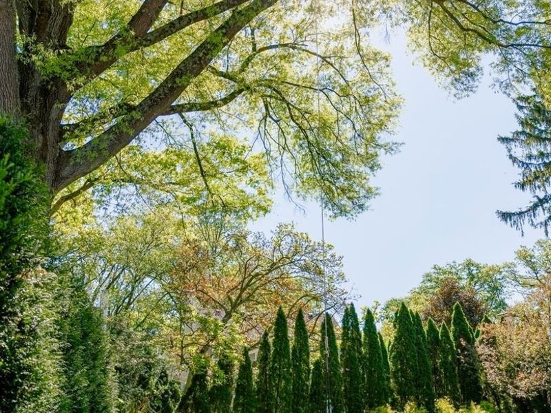 3604 Center Street, Mariemont, OH 45227 Photo 44