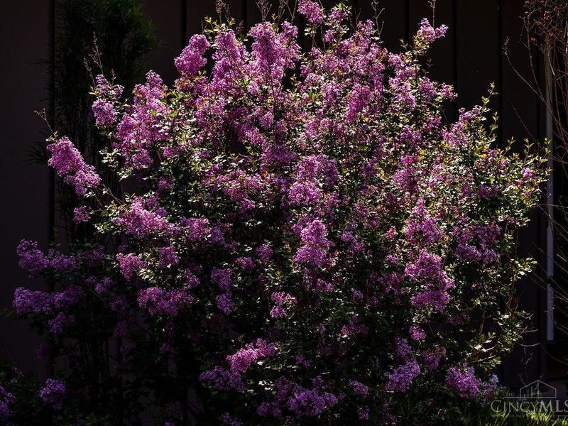 110 Springwood Drive, Oxford Twp, OH 45056 Photo 33