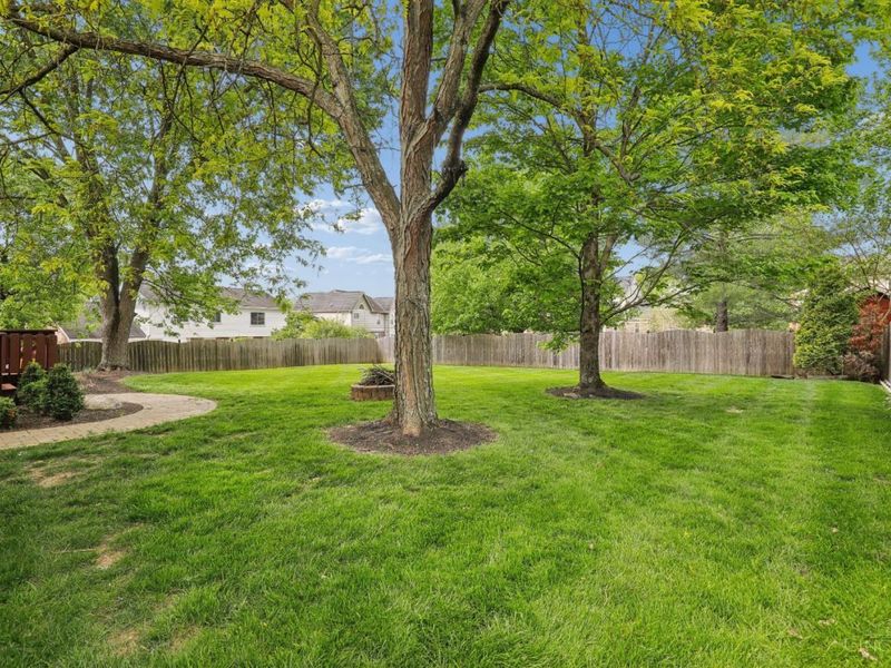 2205 Bruns Lane, Anderson Twp, OH 45244 Photo 48