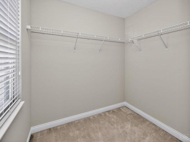 6186 Spires Drive, Miami Twp, OH 45140 Photo 45