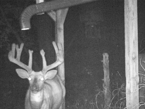 805 W 120th Street S, Colfax, IA 50054