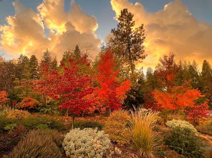 1362 Sandalwood Dr, Murphys, CA 95247 Photo