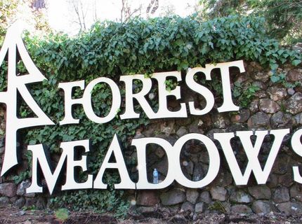 1362 Sandalwood Dr, Murphys, CA 95247 Photo