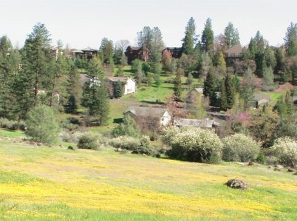 1362 Sandalwood Dr, Murphys, CA 95247 Photo