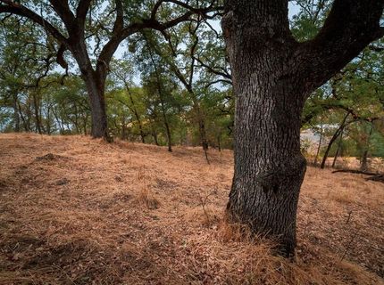 Kern St, Jackson, CA 95642 Photo