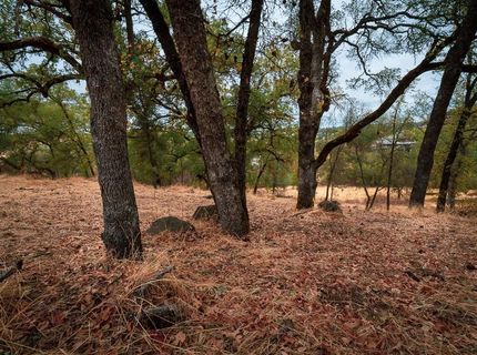 Kern St, Jackson, CA 95642 Photo