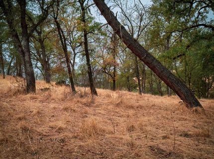 Kern St, Jackson, CA 95642 Photo