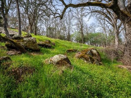 Kern St, Jackson, CA 95642 Photo