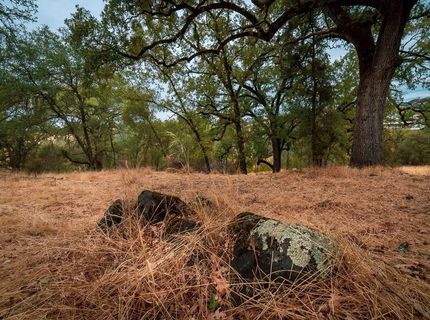 Kern St, Jackson, CA 95642 Photo