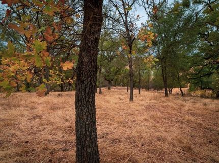 Kern St, Jackson, CA 95642 Photo