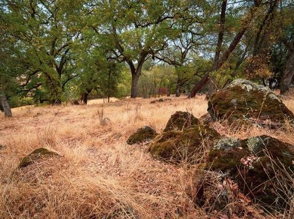 Kern St, Jackson, CA 95642 Photo