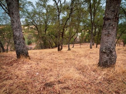 Kern St, Jackson, CA 95642 Photo