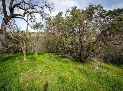 Kern St, Jackson, CA 95642 Photo