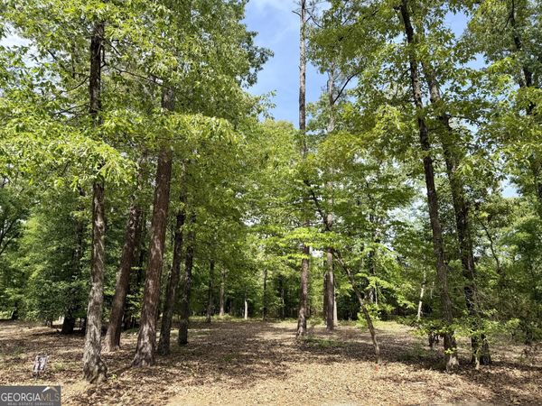 0 Deer Creek Trail, Unit LOT 6, Dublin, GA 31021