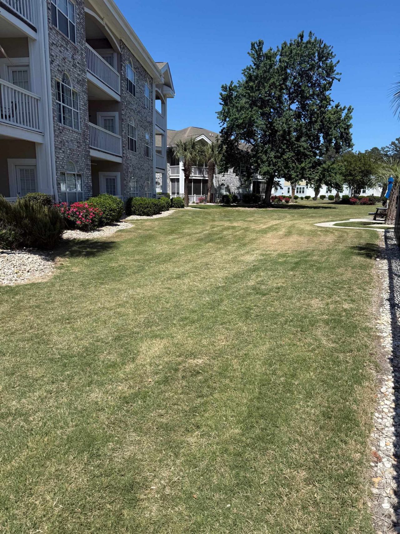 4765 Wild Iris Dr. Photo 18