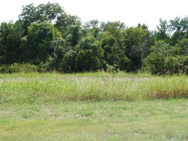 4036 Whitecrest Drive , Whitney, TX 76692