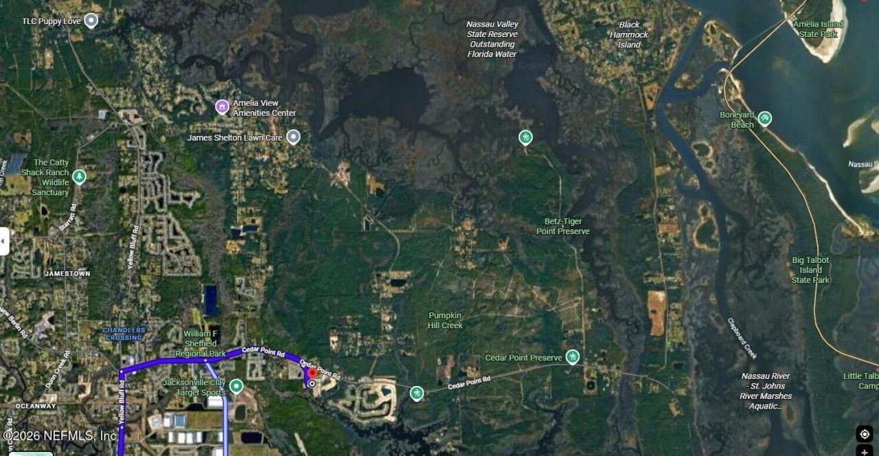 12339 Clapboard Bluff Trail, Jacksonville, FL 32226 Photo